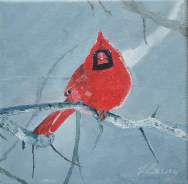 winter cardinal 8 x 8 2021