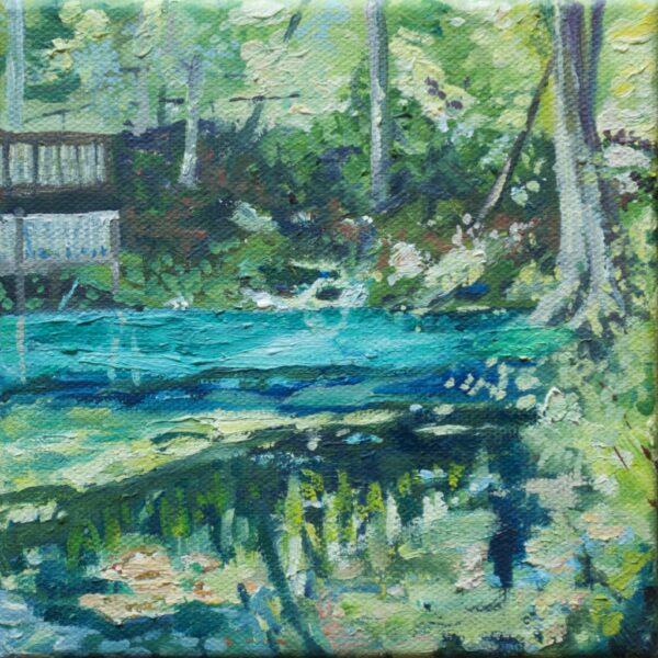 florida spring 6 x 6" 2021