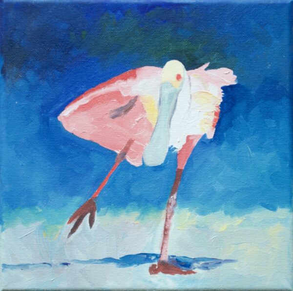 roseate spoonbill skater 8 x 8 2023