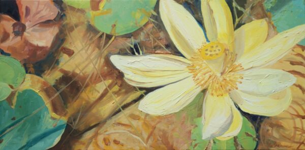 American lotus 12 x 24" 2020